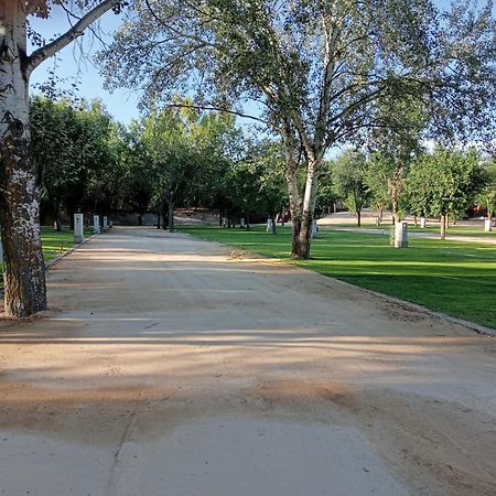 فندق كومبليجو لا سيجوينا أرغاندا ذيل رِيْ المظهر الخارجي الصورة